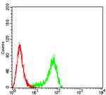 Plexin-A1 Antibody in Flow Cytometry (Flow)