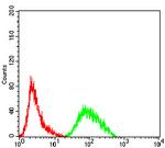 PRDM4 Antibody in Flow Cytometry (Flow)