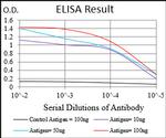 PKA alpha Antibody in ELISA (ELISA)