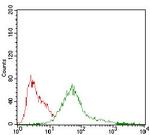 AMPK gamma-1 Antibody in Flow Cytometry (Flow)