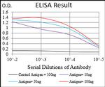 PTP4A2 Antibody in ELISA (ELISA)