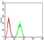 PTPN14 Antibody in Flow Cytometry (Flow)