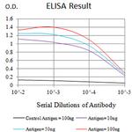 PTPRU Antibody in ELISA (ELISA)