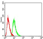 RAB6B Antibody in Flow Cytometry (Flow)