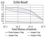 RAD23A Antibody in ELISA (ELISA)