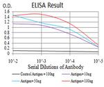 RAD52 Antibody in ELISA (ELISA)
