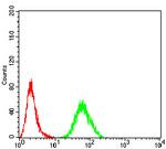 RALA Antibody in Flow Cytometry (Flow)