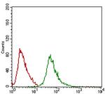 RING1 Antibody in Flow Cytometry (Flow)