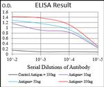 ROR2 Antibody in ELISA (ELISA)