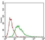 ROR2 Antibody in Flow Cytometry (Flow)