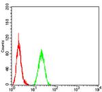 SIRT4 Antibody in Flow Cytometry (Flow)