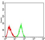 SIRT4 Antibody in Flow Cytometry (Flow)