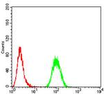 SPHK2 Antibody in Flow Cytometry (Flow)