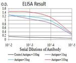 SMARCA1 Antibody in ELISA (ELISA)