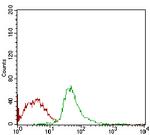 SCP3 Antibody in Flow Cytometry (Flow)