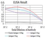 Synapsin 1 Antibody in ELISA (ELISA)