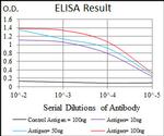 Brachyury Antibody in ELISA (ELISA)