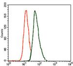 Brachyury Antibody in Flow Cytometry (Flow)