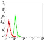 AS160 Antibody in Flow Cytometry (Flow)