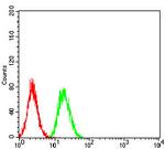 TRIM25 Antibody in Flow Cytometry (Flow)