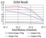 TSH beta Antibody in ELISA (ELISA)