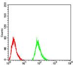 TSH beta Antibody in Flow Cytometry (Flow)