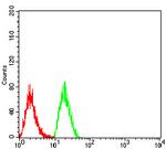 TTF1 Antibody in Flow Cytometry (Flow)