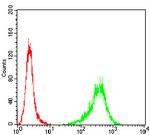 TUBB1 Antibody in Flow Cytometry (Flow)