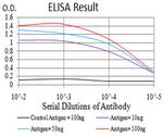 SELS Antibody in ELISA (ELISA)