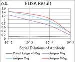 WASP Antibody in ELISA (ELISA)