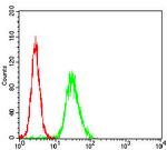 WASP Antibody in Flow Cytometry (Flow)