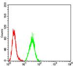 WNT3A Antibody in Flow Cytometry (Flow)