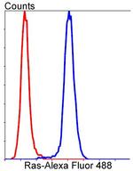 Pan Ras Antibody in Flow Cytometry (Flow)