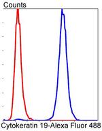 Cytokeratin 19 Antibody in Flow Cytometry (Flow)