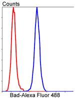 BAD Antibody in Flow Cytometry (Flow)