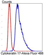 Cytokeratin 17 Antibody in Flow Cytometry (Flow)