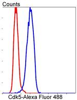 CDK5 Antibody in Flow Cytometry (Flow)