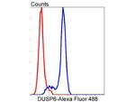 MKP3 Antibody in Flow Cytometry (Flow)