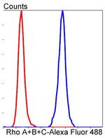 RhoA/RhoB/RhoC Antibody in Flow Cytometry (Flow)