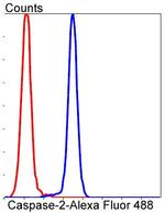 Caspase 2 Antibody in Flow Cytometry (Flow)