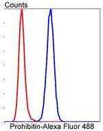 Prohibitin Antibody in Flow Cytometry (Flow)