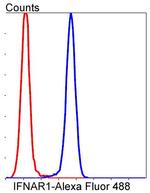 IFNAR1 Antibody in Flow Cytometry (Flow)