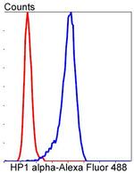 HP1 alpha Antibody in Flow Cytometry (Flow)