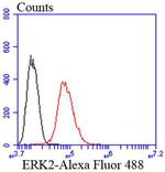 ERK2 Antibody in Flow Cytometry (Flow)