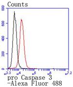 pro-Caspase 3 Antibody in Flow Cytometry (Flow)