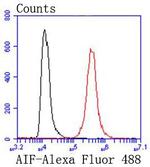 AIF Antibody in Flow Cytometry (Flow)