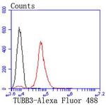 Beta III Tubulin Antibody in Flow Cytometry (Flow)
