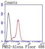 PMS2 Antibody in Flow Cytometry (Flow)