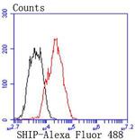 SHIP1 Antibody in Flow Cytometry (Flow)