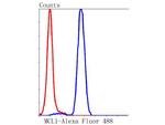 MCL-1 Antibody in Flow Cytometry (Flow)